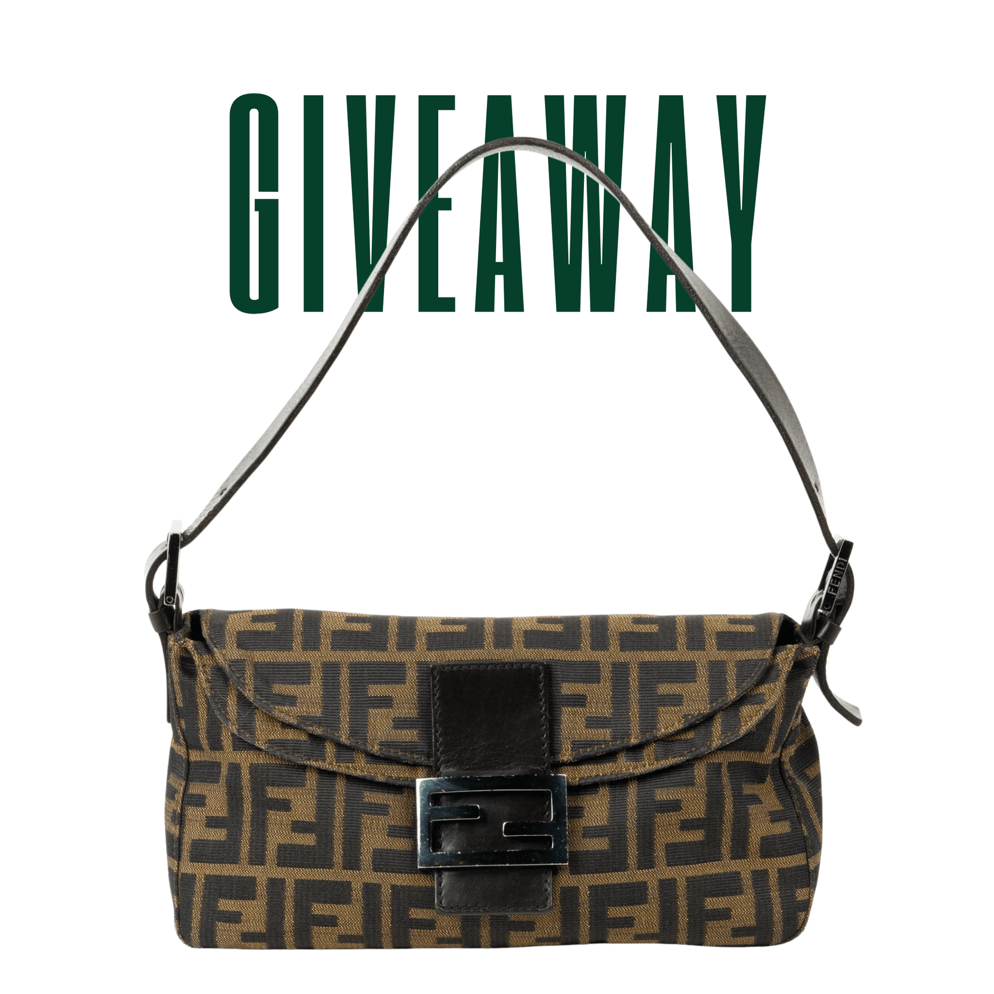 Fendi Zucca Baguette Brown - Giveaway Prize - St. Luxe