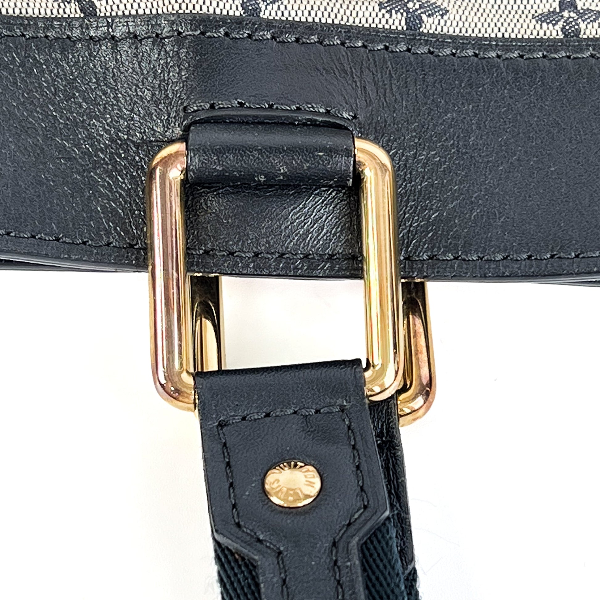 Louis Vuitton Lucille Mini Monogram Lin GM Tote - St. Luxe